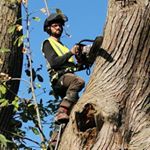 Profile Picture of Charlie Moore (@arborist_c.m) on Instagram