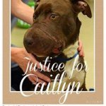 Paula Wallis - Instagram Profile Picture of Paula Wallis (@paula.wallis) on Instagram