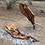 Profile Picture of Francisco Omar  Naranjo (@fonclik) on Flickr