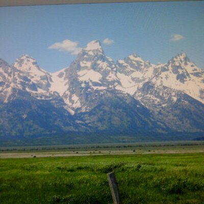 David J. Kaufman - Twitter Profile Picture of David J. Kaufman (@@davidkman) on Twitter