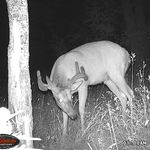 Profile Picture of Jeff Noren (@jeffnoren73) on Instagram