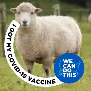 Profile Picture of Chris Hawkins (@christopherchawkins) on Instagram