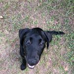 Profile Picture of Autist (@anson_phillips2) on Instagram