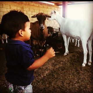 Profile Picture of SC Emmanuell (@emmanuel.sanchez.182940) on Facebook