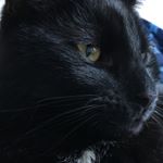 Profile Picture of Joe Barrow (@j0e_barrow) on Instagram