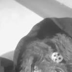 Profile Picture of Alexander Drip Caiza (@Alexander-Drip-Caiza) on Facebook