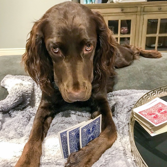 Profile Picture of David Altman (@saltyalty20) on Poshmark