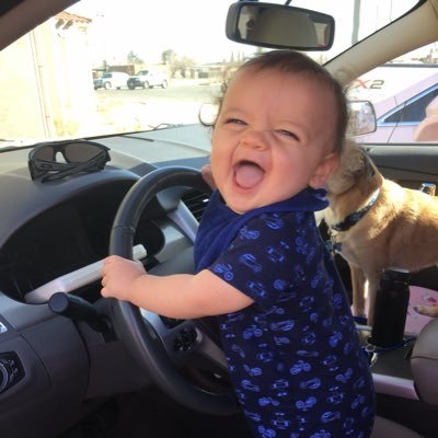 Profile Picture of Peter Dawson (@PeterFox5LV) on Twitter