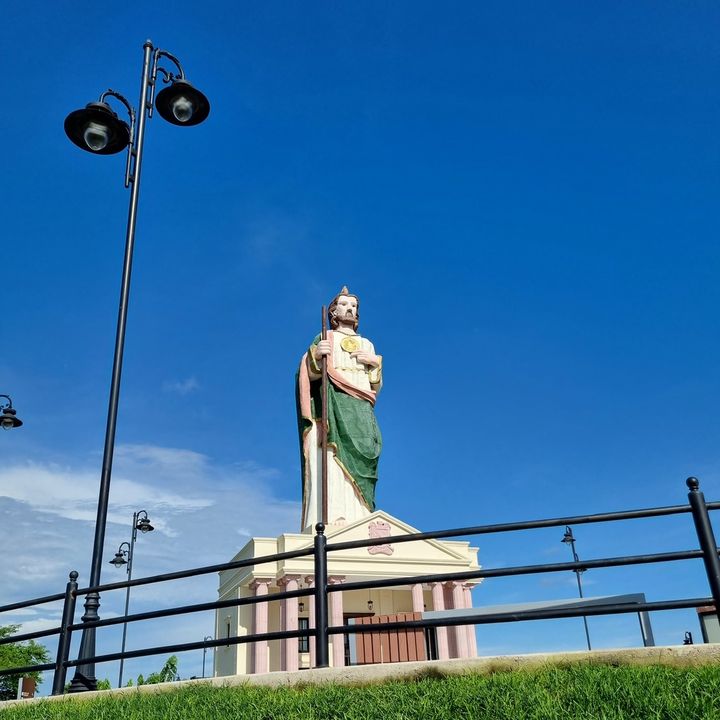 Profile Picture of pecora (@pecora24_) on Tiktok