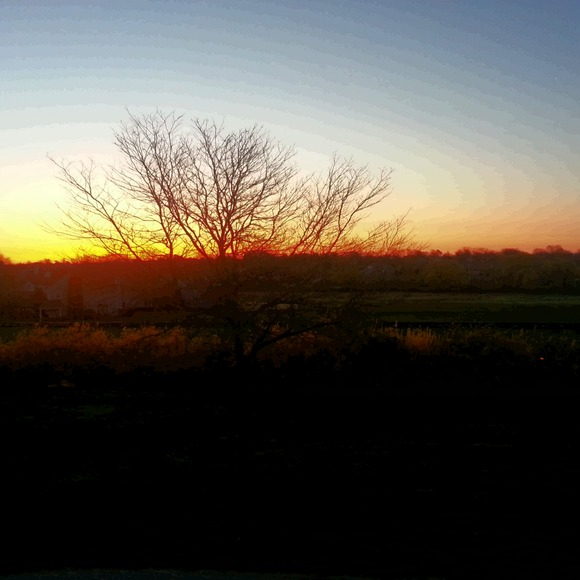 Profile Picture of Linda Arcouette (@larcouette) on Poshmark