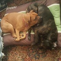 Profile Picture of Paul Spurlock (@paul-spurlock-3) on Quora