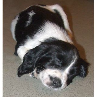 Profile Picture of Joshua Cunliffe (@joshua.cunliffe.16) on Facebook