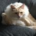 Profile Picture of Kevin Wilhelmsson (@kevin.wilhelmsson.1) on Facebook