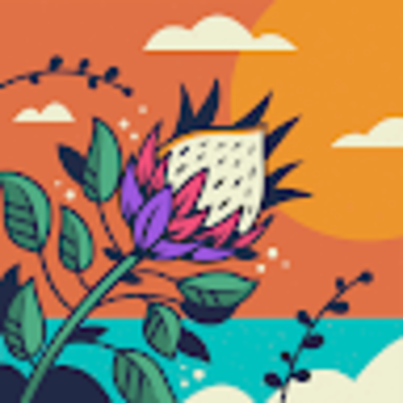 Profile Picture of Anayeli alvarez Rosas (@anayeli437) on Poshmark