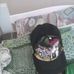Profile Picture of Henrique Dridson (largest breeze bro) (@dridson.henrique) on Facebook