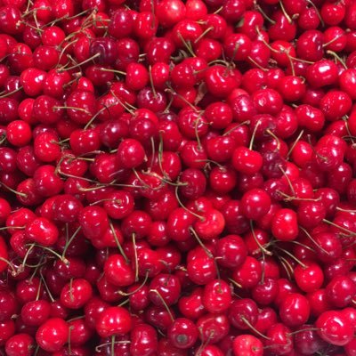 Profile Picture of Jianzong Hｕang (@JianzongH) on Twitter