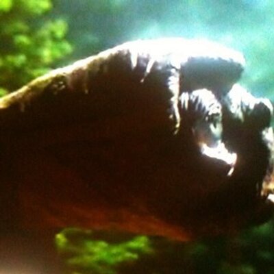 Aaron Trickett - Twitter Profile Picture of Aaron Trickett (@AaronTrickett99) on Twitter