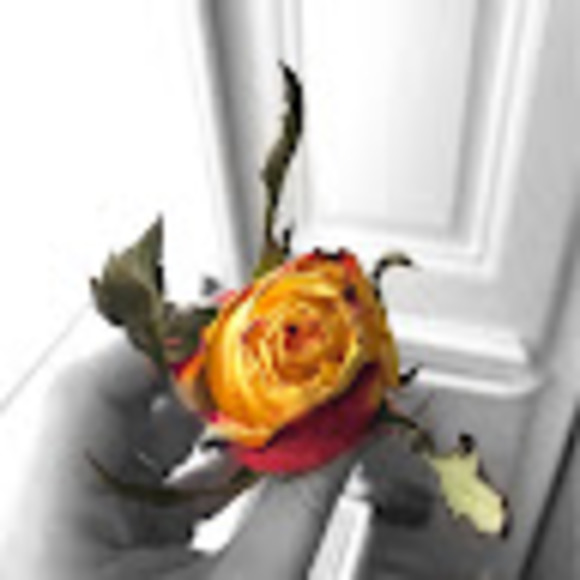 Profile Picture of Danielle Gandino (@daniellegandino) on Poshmark