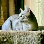 Profile Picture of Pamela Essary (@pamela.essary.16) on Facebook