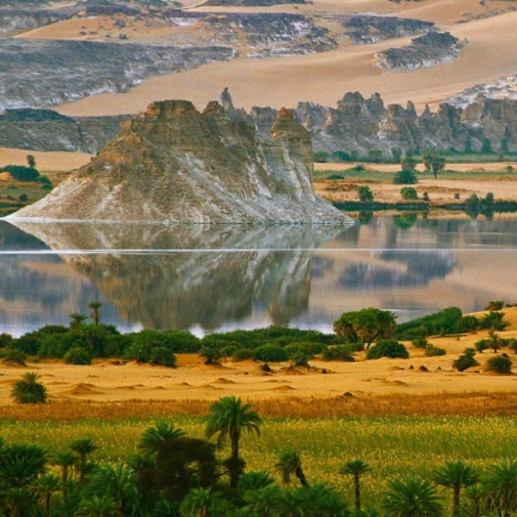 Profile Picture of Pamela Alvarez (@pamelaalvar295) on Poshmark