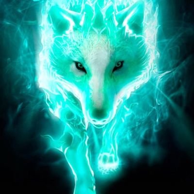 Profile Picture of Cristian Ovando (@Cristia88891398) on Twitter