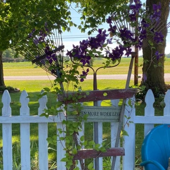 Profile Picture of Janet Davis (@jkdavis1952) on Poshmark