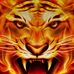 Profile Picture of Jeff Kight (@jeff.kight) on Facebook
