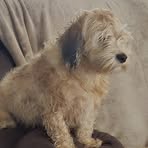 Profile Picture of Roxy Hayes (@blondue.jughead) on Facebook