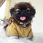 Damon Sky León Amado - Instagram Profile Picture of Damon Sky León Amado (@damon_sky_01) on Instagram