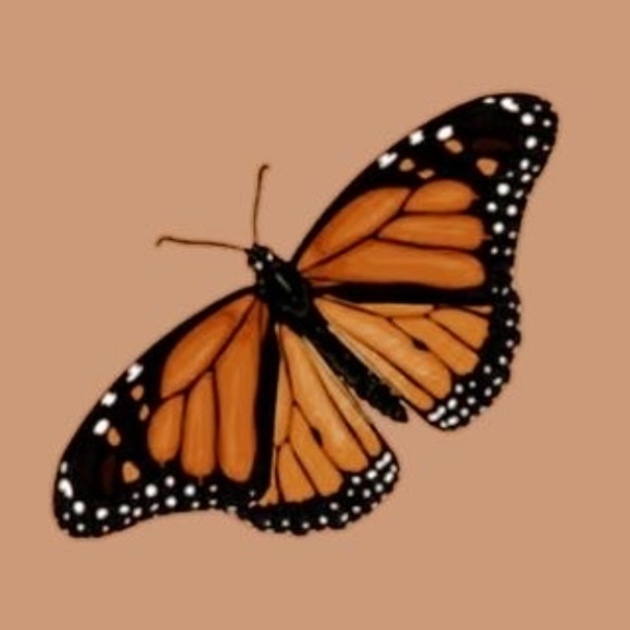 Profile Picture of Hallie Lallier (@mystictreasure) on Poshmark