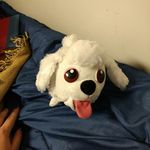 Profile Picture of Charlie Martin-Whitaker-Truett (@charli_spaz) on Instagram