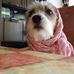 Profile Picture of Peter Klinkenberg (@peter.klinkenberg.5) on Facebook