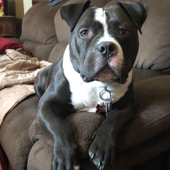 Profile Picture of Gary Boucher (@gbouch63) on Poshmark