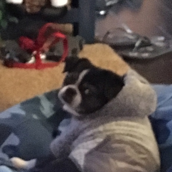 Profile Picture of Lisa Lomauro (@llomauro) on Poshmark