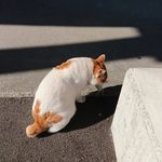 Profile Picture of 市川健良 (@shichuanjianliang) on Instagram