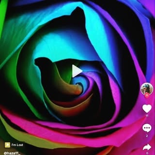 Profile Picture of Joseph canetti (@canettijoseph) on Instagram