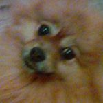 Profile Picture of Gillian Barrett (@gillian.barrett) on Instagram