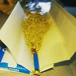 Profile Picture of kurt  Jenkins (@kurtt161) on Instagram