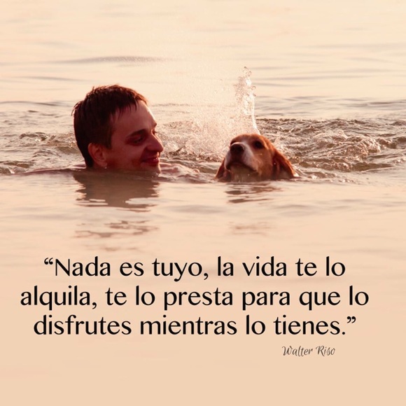 Profile Picture of Delmy Gonzalez (@skydag) on Poshmark