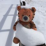 Profile Picture of Steven Caulfield (@chummer8it) on Instagram