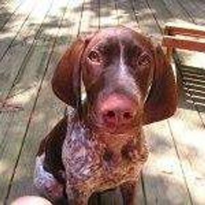 Profile Picture of John Fleming (@johnfleming2005) on Twitter