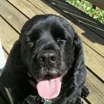 Profile Picture of Nancy Applegate (@nancy.applegate) on Instagram