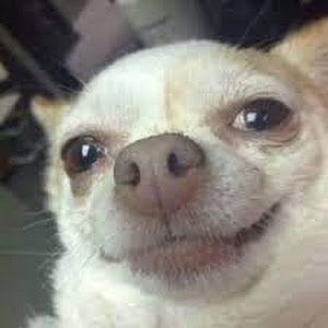 Profile Picture of Evan Barger (@evanbarger) on Tiktok