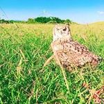 Profile Picture of Nana Higasiguti (@robin069306) on Instagram