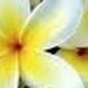 Profile Picture of David Davoudi (@DDinlove1) on Youtube