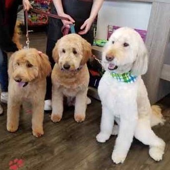 Profile Picture of Craig Lancaster (@CraigLa17029521) on Twitter