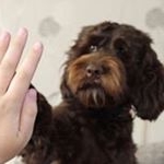 Profile Picture of Pauline Nicholson (@paulinenic99) on Instagram