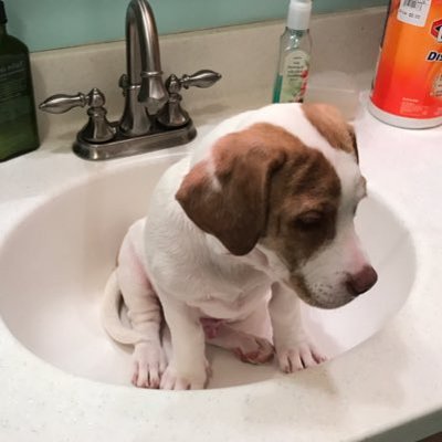 Profile Picture of Brooke Hinkle (@hink64) on Twitter