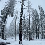 Profile Picture of Bansal Ajay Bansal (@ajaybansal000) on Instagram