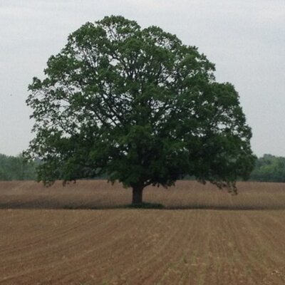 Profile Picture of Kevin Kerber (@kerberka) on Twitter